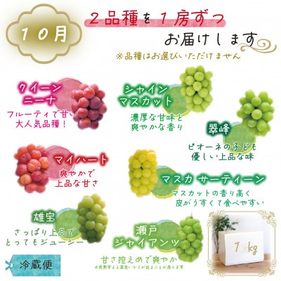 【発送月固定定期便】岡山　花笑み農園のブドウ食べ比べ　全4種全2回【配送不可地域：離島】