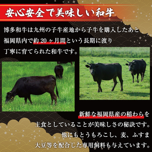 【ふるさと納税】博多和牛のサイコロステーキ400g(肉専用にんにく塩付) [a0546] 富士商株式会社 ※配送不可：離島【返礼品】添田町 ふるさと納税