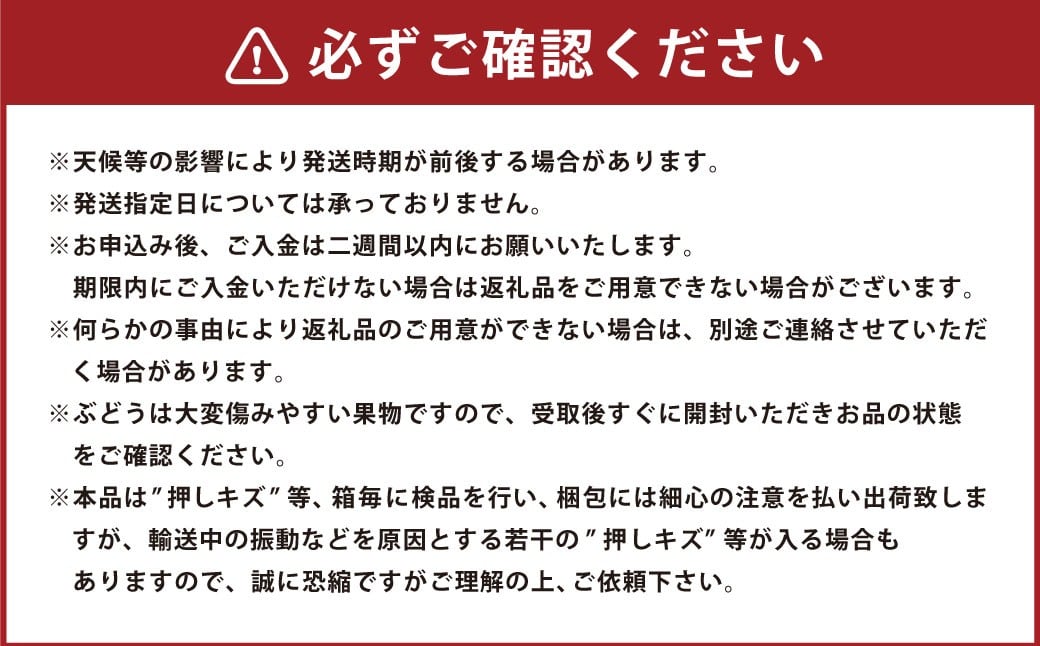 岡山県産 紫苑 1房（約600g）