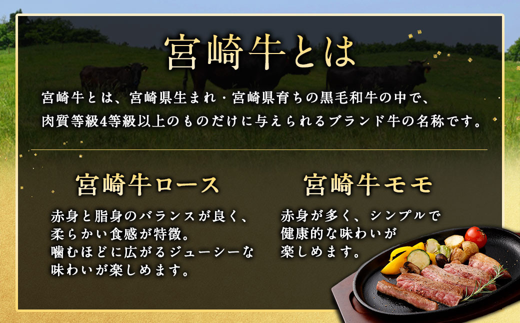 ＜宮崎牛ステーキ2種食べ比べ＞