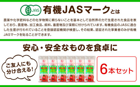 有機 トマト ケチャップ 300g×6本 光食品 株式会社 《30日以内順次出荷(土日祝除く)》 ケチャップ 有機 オーガニック 調味料 国産 とまと トマト 徳島県 上板町