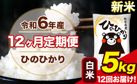 令和6年産 新米 【12ヶ月定期便】 ひのひかり 白米 5kg 5kg×1袋 計12回お届け 熊本県産 こめ コメ 白米 精米 荒尾市 ひの 米 定期 《お申込み月の翌月から出荷開始》 美味しい米 お米 熊本県産米 くまもと米