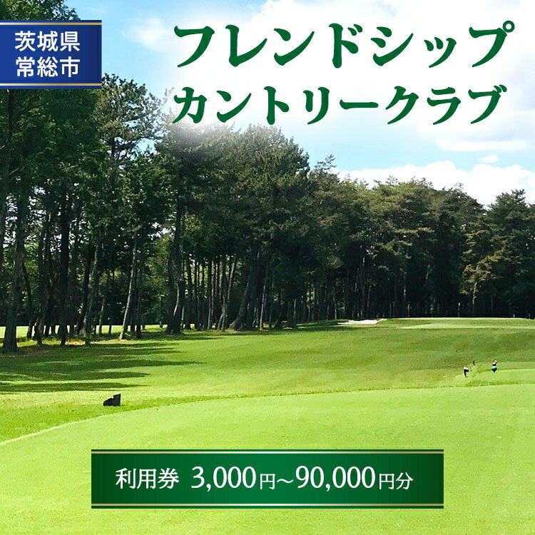 【ふるさと納税】【選べる利用券】フレンドシップカントリークラブ利用券 ※離島への配送不可