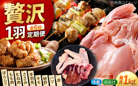 【全6回】鶏肉 一黒シャモ 約1kg [XAH006] 鶏肉