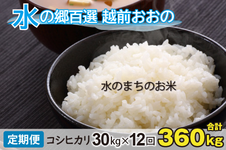 【令和7年産】【12ヶ月定期便】こしひかり 30kg × 12回 計360kg（白米）「エコファーマー米」－水のまちのお米－[Q-003002]