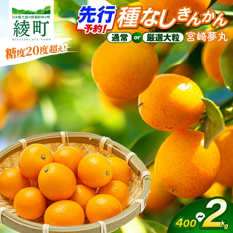 【ふるさと納税】先行予約 《選べる種類・内容量》 きんかん 「宮崎夢丸」 400g 1kg 2kg 数量限定 大粒 種無し 果物 フルーツ くだもの 柑橘 金柑 プレミア おすすめ パック ギフト 贈り物 贈答 おやつ スイーツ デザート 糖度が高い 常温 産地直送 宮崎県 綾町 送料無料