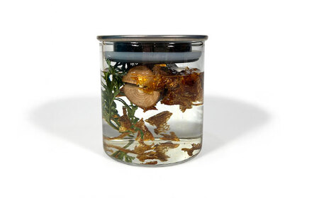 【オリジナルの1杯を】Forest Liquor Base(フォレストリカーベース) カクテル リキュール オリジナルカクテル 日田市 / ライフデザインショップ エリアス[ARAC019]