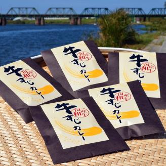 【3回定期便】ゴロッ!と入ったコラーゲン博多和牛　牛すじカレー5食セット【001-0207】