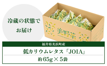 低カリウムレタス 美野菜 「JOIA」 5袋 クリーンルーム栽培 無農薬 鮮度長持ち 【野菜 生野菜 レタス サラダ 水耕栽培 洗わず食べられる 時短 付け合わせ】レタス フリルレタス 野菜 サラダ 
