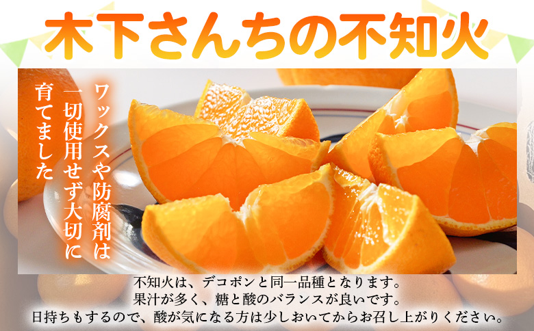 ＜木下さんちの不知火 家庭用 約4kg（大中小混み）＞『2027年3月に順次出荷予定』柑橘 しらぬい でこぽん デコポン ご自宅 みかん ミカン 蜜柑 果物 くだもの フルーツ 果実 特産品 木下農園
