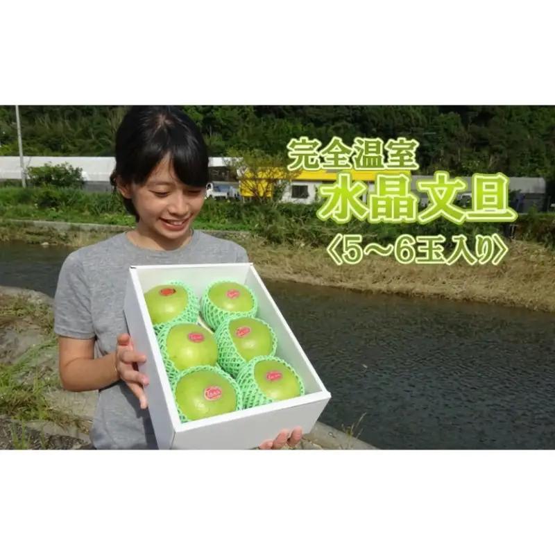 届いてすぐに食べられる 完熟 温室 水晶 文旦 5～6玉［1404-3］