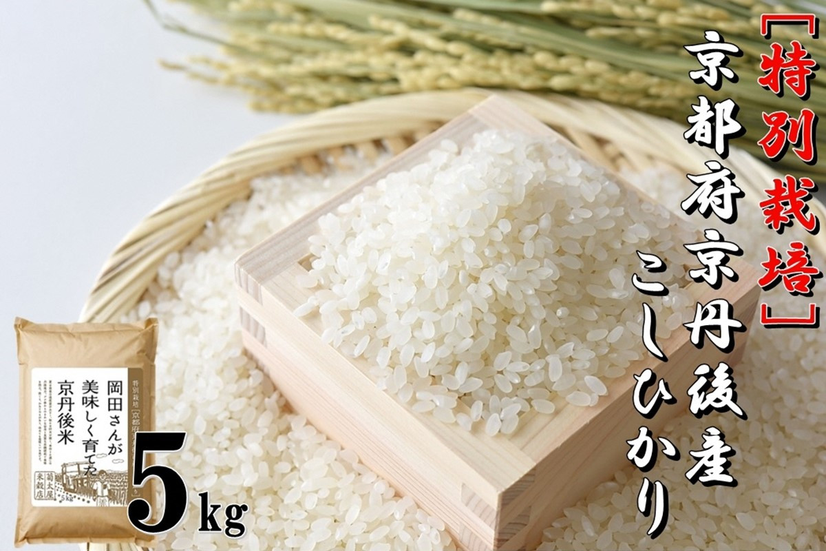 
                  特別栽培　京都府京丹後市産こしひかり 岡田さんが美味しく育てた京丹後米 5kg　NC00007
                