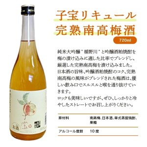 SZ0149　酒田の酒屋厳選　子宝リキュール 完熟南高梅酒　720ml×1本