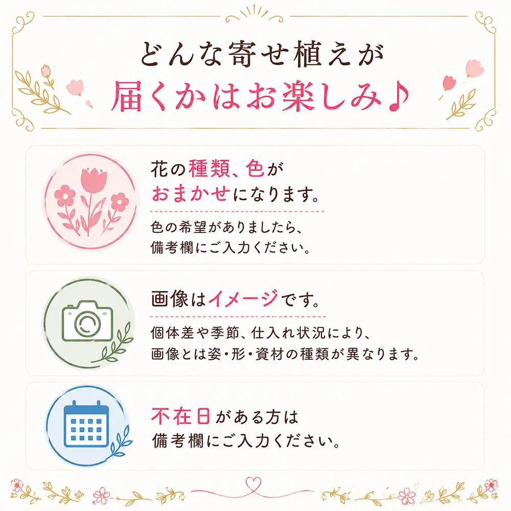 オリジナル 寄せ植え 3000円相当｜母の日 誕生日 花ギフト 「百花-MoKa-」