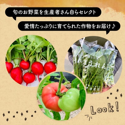 【訳アリ】 季節の野菜 詰め合わせ 8～10種 京都