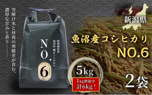 令和7年産 魚沼産コシヒカリNo.6 10kg(5kg×2袋)｜米 こしひかり 定期 お米 新潟 魚沼 魚沼産コシヒカリ 魚沼産こしひかり こめ コメ おこめ 白米 新潟県 津南町