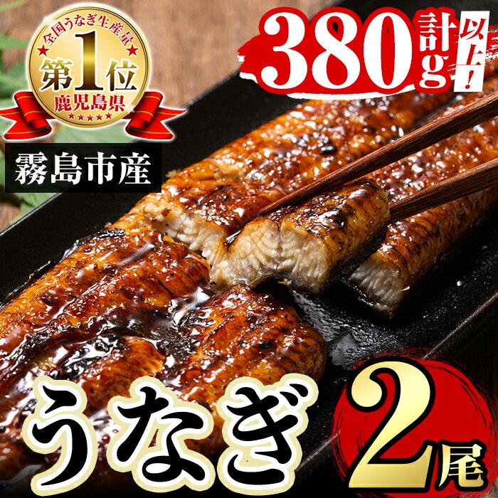 【ふるさと納税】数量限定！特別サイズ！霧島産うなぎ蒲焼き計380g以上(190g超×2尾) 国産 鹿児島県産 うなぎ 鰻 ウナギ 高級 蒲焼き 蒲焼 かばやき タレ【田代水産】