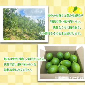 【2026年10月頃から順次発送】グリーンレモン　約1kg ｜果物 くだもの フルーツ レモン れもん 檸檬 柑橘 防腐剤不使用 ワックス不使用 グリーンレモン ぐりーんれもん 国産 愛媛県産 国産レ