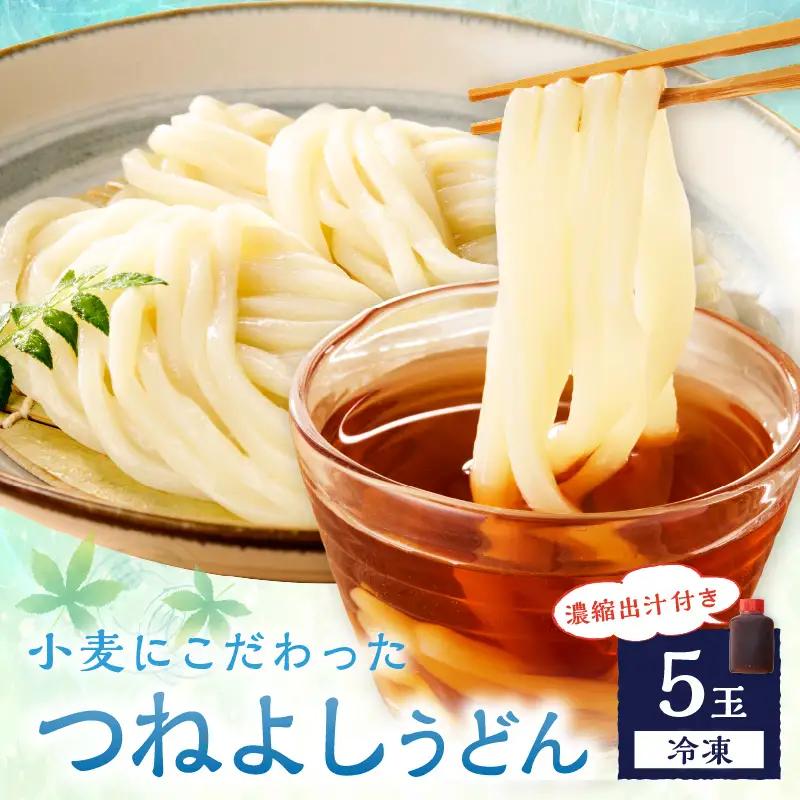 冷凍うどん5玉 出汁付_うどん[KI00028]