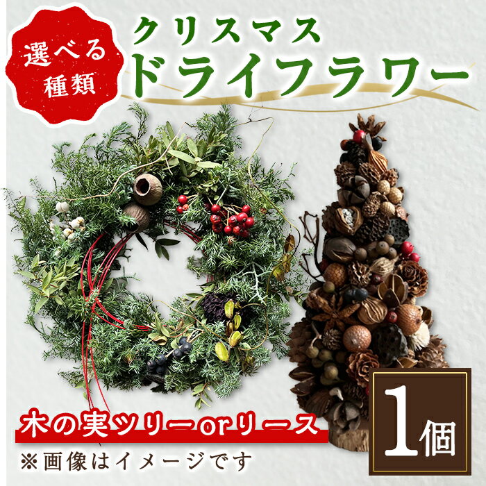 【ふるさと納税】ドライフラワー クリスマス ｜ ＜ 選べる 形態 ＞ リース or 木の実ツリー ｜ ドライフラワー 花 フラワー インテリア リース ツリー クリスマスツリー クリスマス ギフト プレゼント 贈り物 おしゃれ 飾り