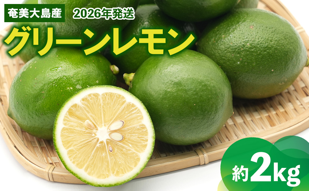 2026年発送【あたり果樹園】奄美大島産 グリーンレモン 約2kg 鹿児島県 奄美群島 奄美大島 龍郷町 国産 奄美産 青果 果物 くだもの フルーツ レモン れもん 檸檬 ノーワックス フレッシュ 