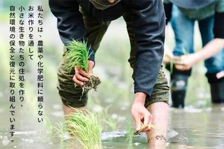 【令和7年新米・先行受付】【3カ月定期便】ちぎり米 10kg(「さがびより」、「ヒノヒカリ」、「夢しずく」から1種類 選択不可)【栽培期間中農薬不使用米 佐賀県産 米 お米 コメ こめ 国産 美味しい