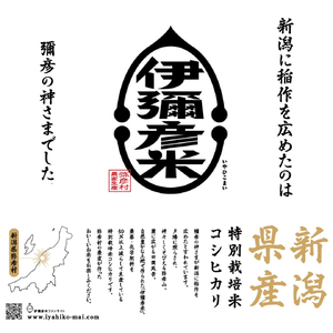 令和7年産特別栽培米コシヒカリ「伊彌彦米」5kg【1125999】