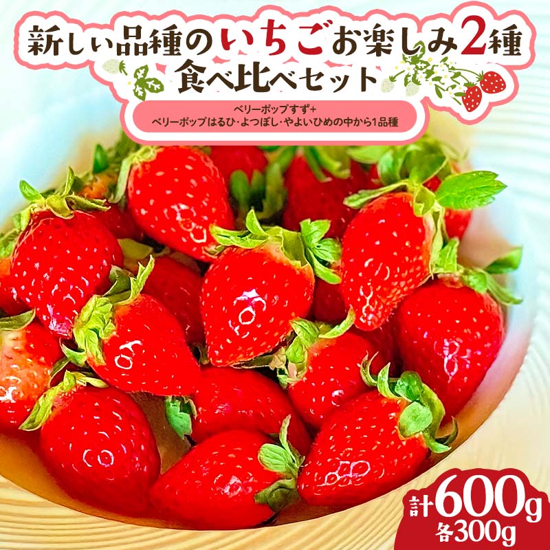 【ふるさと納税】 新しい品種のいちご お楽しみ 2種 食べ比べセット300g×2パック 果物 フルーツ いちご イチゴ F21C-420