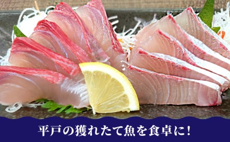 刺身 6人前 約900g 詰め合わせ【百旬館】[KAK021]/ 長崎 平戸 魚介類 魚 刺身 ブロック ヒラス ひらす ブリ ぶり 鯛 タイ たい 急速冷凍 真空 パック