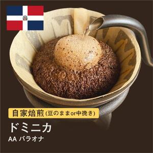 【豆】#010 ドミニカ AA バラオナ コーヒー豆 310g 自家焙煎 大山珈琲