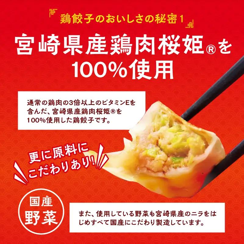 悠瑠里特製鶏餃子120個 餃子 ぎょうざ 惣菜