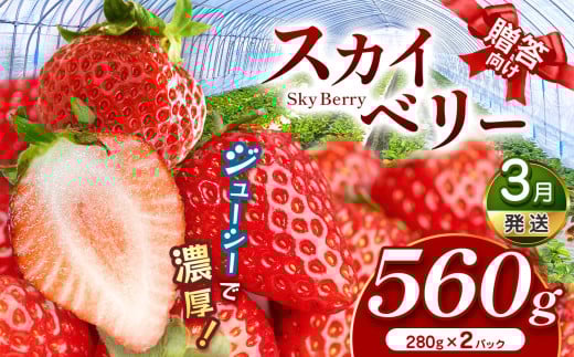 スカイベリー（贈答向け）【3月発送】280ｇ×2p | 贈答品 プレゼント 新鮮 完熟 いちご 旬 スカイベリー 苺 ストロベリー 高級 産地直送 大容量 人気 高評価 真岡市 栃木県 送料無料
