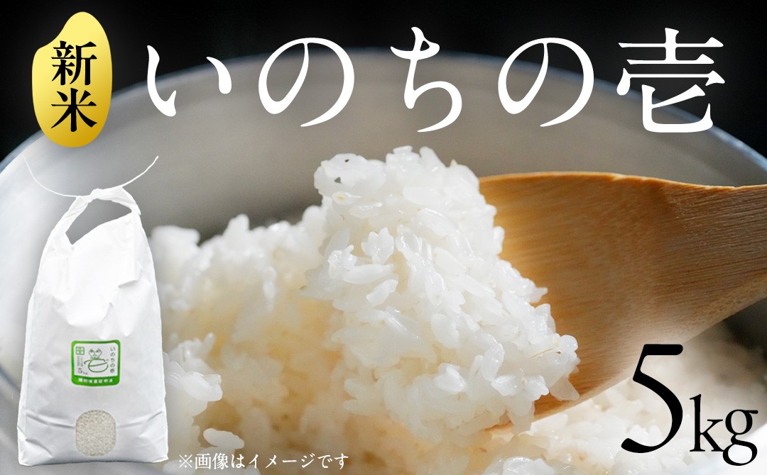 茨城県城里町産 いのちの壱 5kg (2026年産)  いのちのいち 大粒 特大粒 もちもち 冷めても美味しい 粘り甘み 塩むすび おにぎり お弁当 産地直送 茨城県 城里町 (AL001)