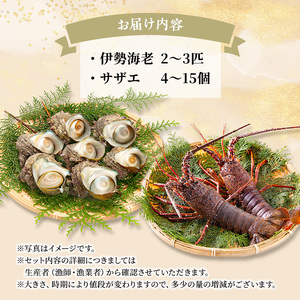 活 伊勢海老 サザエ セット A 10月～5月中旬出荷予定 獲れたて 活伊勢えび 2～3匹 活サザエ 4～15個 伊勢えび 伊勢エビ さざえ 海老 えび エビ 貝 魚介 魚介類 海鮮 海鮮セット 冷蔵