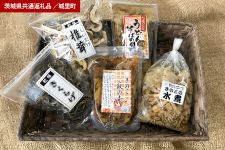 きのこの加工品詰め合わせ　 ５点セット（茨城県共通返礼品・城里町産） HE-004