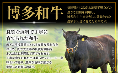 博多和牛 焼肉用 タレ漬け 1.1kg 株式会社木村食品《90日以内に出荷予定(土日祝除く)》小竹町 博多和牛 牛肉 焼肉用 焼肉 肩ロース 肩バラ モモ 赤身