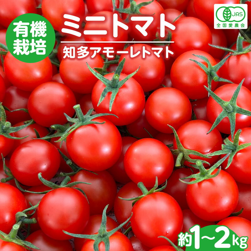 【ふるさと納税】有機栽培 ミニトマト 知多アモーレトマト【約1kg・約2kg】【2月上旬以降のお届け】トマト プチトマト甘い 有機栽培 野菜 濃い 旨味 安心 栄養 リコピン 緑黄色野菜 春 夏 旬 愛知県 特産品 送料無料