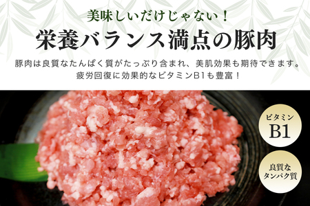 ブランド豚「ばんぶぅ」小分け ミンチ 2kg（500g×4パック） 冷凍便 2キロ たっぷり 豚肉 豚ミンチ 豚ひき肉 豚挽き肉 豚挽肉 キーマカレー ミンチカツ メンチカツ ハンバーグ 餃子 ギョウ