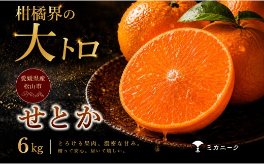 【数量限定受付】 柑橘の大トロ 【せとか】 6kg　愛媛県産 【2027年2月中旬頃から順次発送】 | みかん ミカン mikan 蜜柑 訳ありフルーツ 柑橘 果物 おすすめ 高級 お勧め 愛媛三大高級柑橘 ( 紅まどんな せとか 甘平 ) お取り寄せ ギフト 愛媛県 松山市