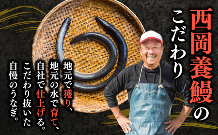 【 うなぎの蒲焼き 】 うなぎの蒲焼 定期便 計4尾 ( 120g × 2尾 × 2回 ) 
