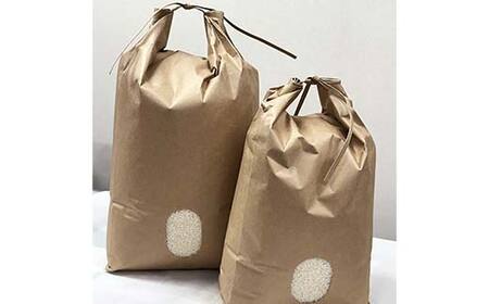 令和7年産 コシヒカリ 精米 10kg 米 コメ ごはん ご飯 食品 F24R-228