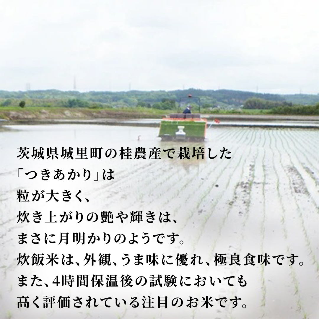 【 6ヵ月定期便 】つきあかり 10kg ×6回 令和7年 精米 産地直送 茨城県 城里町  (AX077)