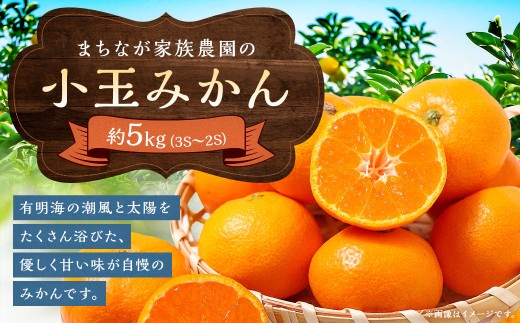 まちなが家族農園の小玉みかん ５kg みかん ミカン 蜜柑 温州みかん 完熟みかん 甘熟 柑橘  国産 佐賀県産 太良町 こだわり 贈答品 産地直送 詰め合わせ 小玉 L50x1 【2026年10月下旬～2027年1月下旬発送予定】