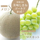 【ふるさと納税】メロン2L1玉シャインマスカット1房セット【2024年9月発送】【配送不可地域：離島】【1212156】