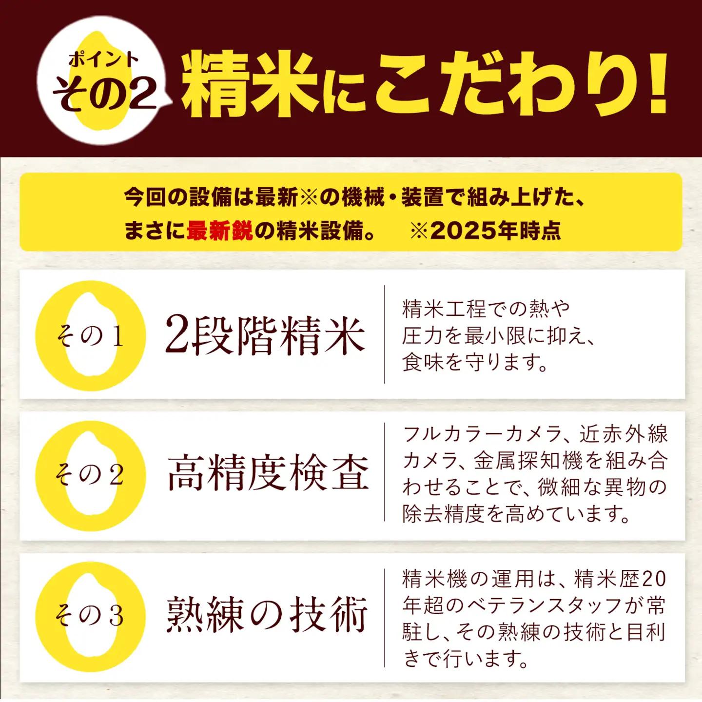 無洗米 令和7年産 ひのひかり 森のくまさん 20kg 12ヶ月 定期 無洗
