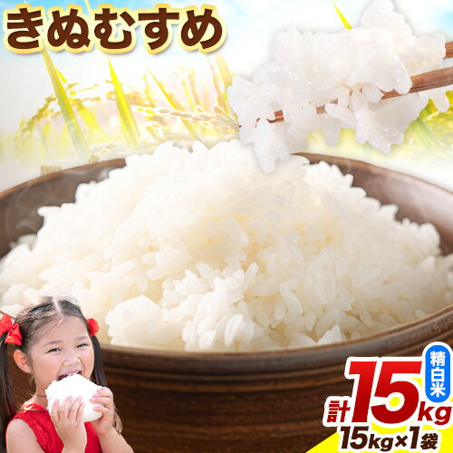 【ふるさと納税】鳥取県産 きぬむすめ15kg 精白米 15kg×1袋 フォレスト姫宮《10月中旬-11月末頃出荷予定》鳥取県 八頭町 米 お米 白米 ご飯