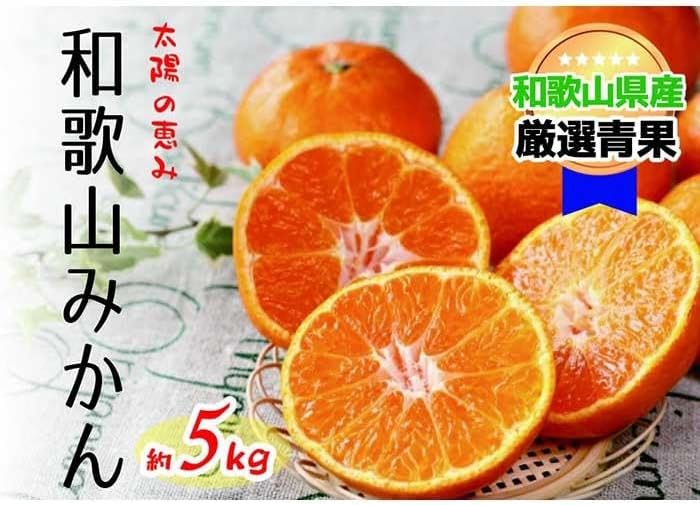 【ふるさと納税】 【太陽の恵み】和歌山みかん(約5kg) 【2025年12月上旬～2026年1月下旬発送】