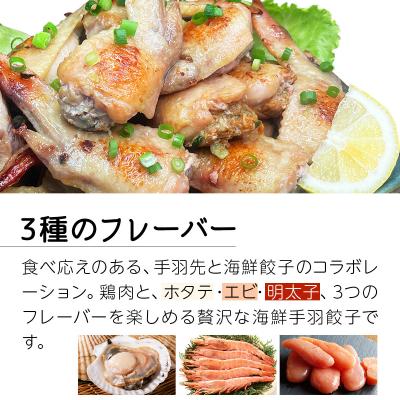 ふるさと納税 岩見沢市 北海道産鶏肉を使った海鮮手羽先餃子【北の海鮮手羽ぎょうざ】30個セット(10個×3種)配送地域限定 |  | 02