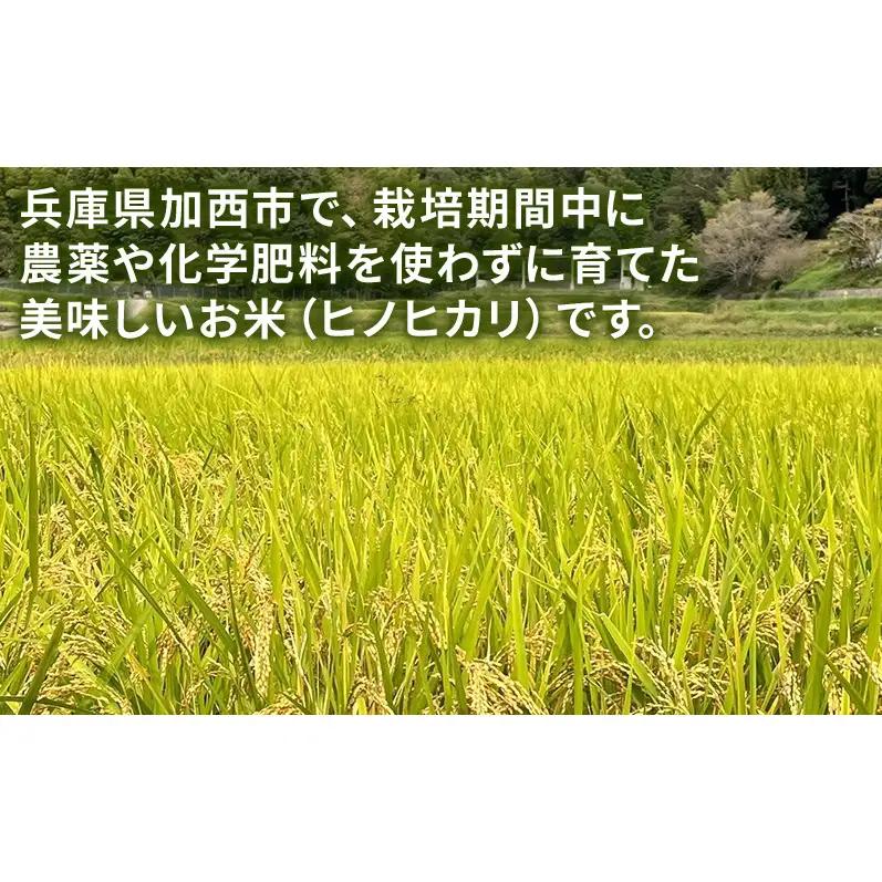 米 有無ファームこだわり米 5分づき 農薬・化学肥料不使用 米【10kg】