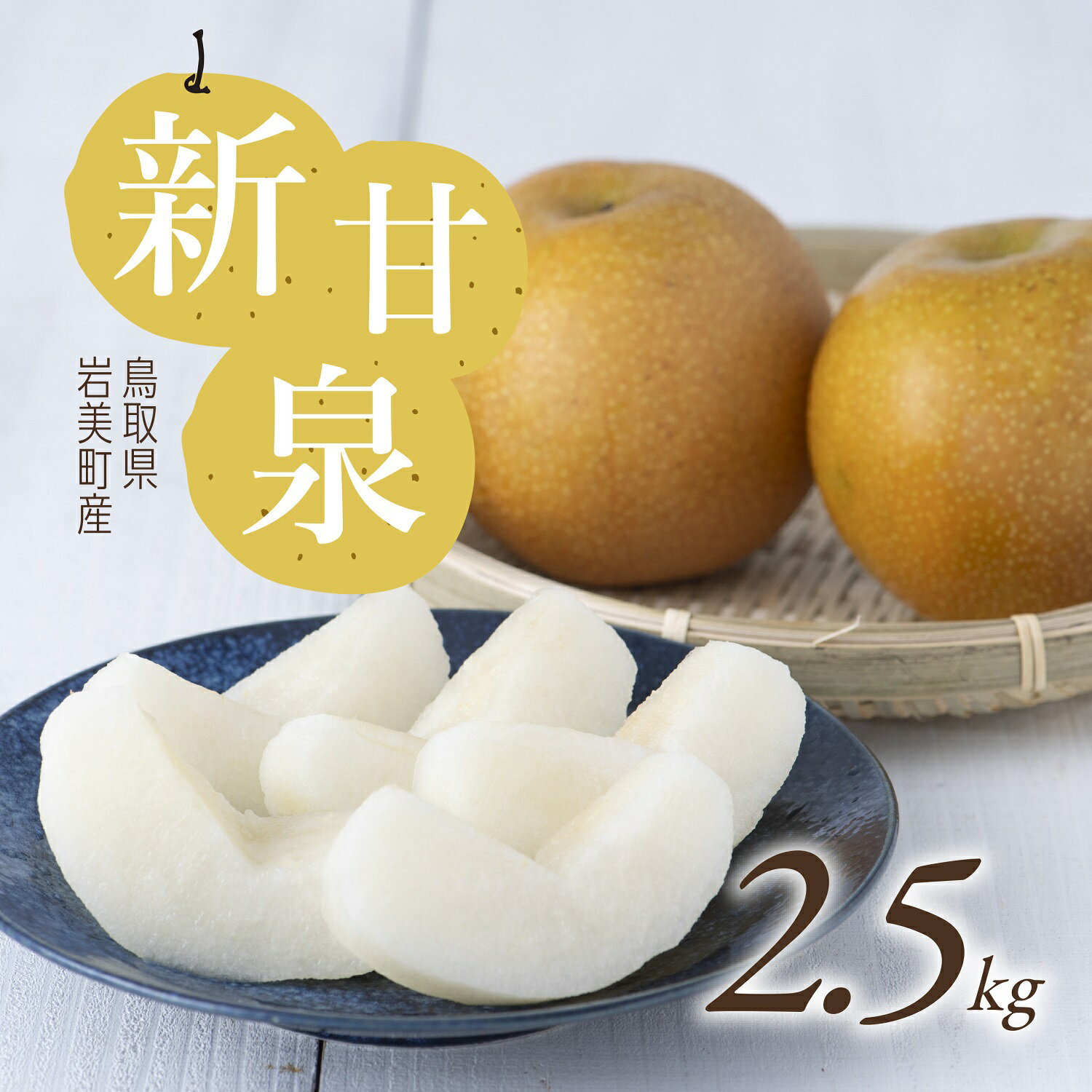 【ふるさと納税】【先行予約】新甘泉（梨）2.5kg 2026年収穫後 9月頃～順次発送予定 （着日指定不可）鳥取県 岩美町産【41003】
